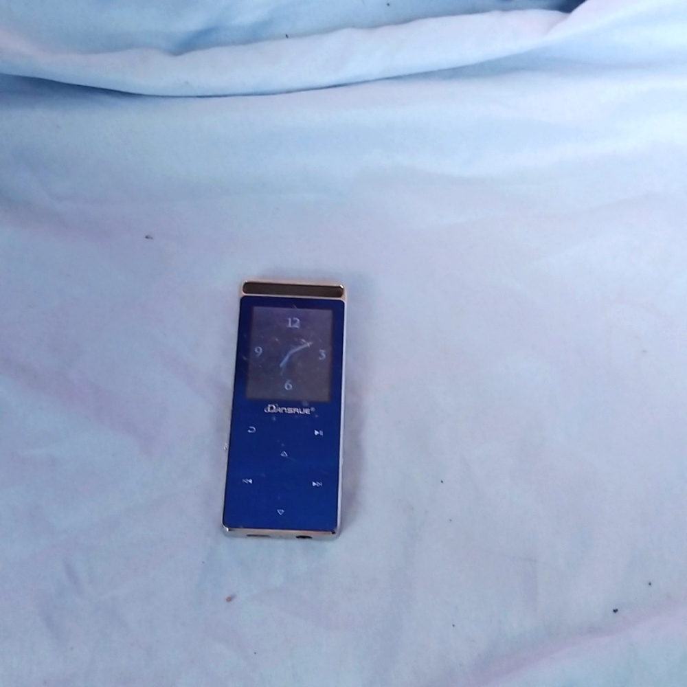 MP3 PPlayer Loaded w 8Gs of Songs!
